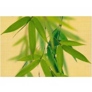 Декор Belarti Олира OLL 1 20x30