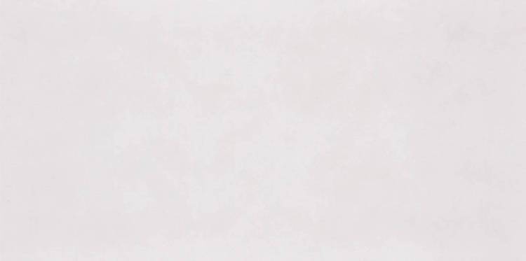 Керамогранит Seranit Stone Art 26072008 Slate White Relief 60x120