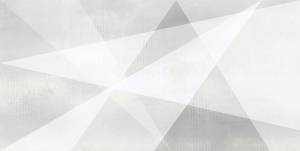 Керамическая плитка AltaCera Shape WT9SHG00 Geometry White 24.9x50