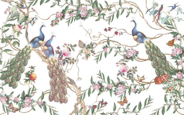 Бесшовные Eco обои Ortograf Flora 31143 Paradise Peacocks natural Ворс+ ОЕ+