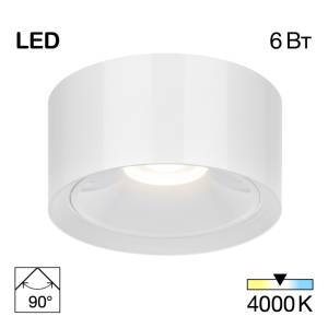 Накладной светильник Citilux Ровер CL743060N