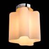 Потолочный светильник Arte Lamp 18 A3479PL-1CC фото 2