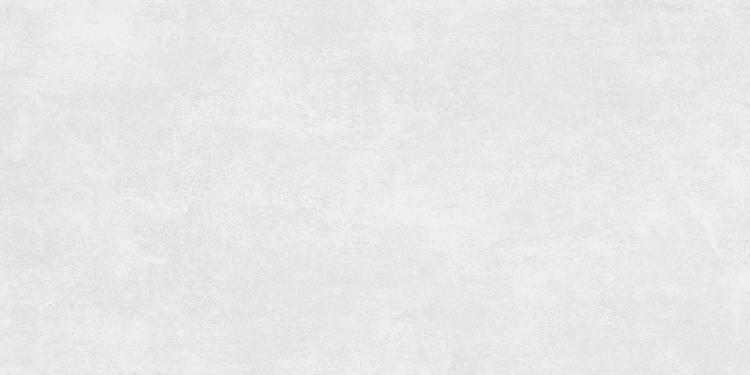 Alma Ceramica Beton Evo