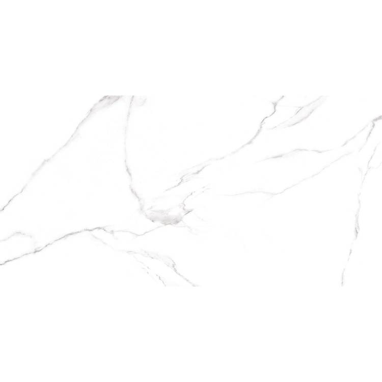 Керамогранит Alma Ceramica Carrara GFU60120CRR00R 60x120