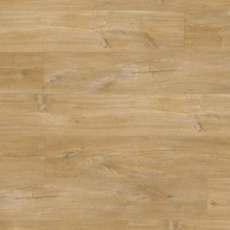 LVT Плитка Quick-Step Balance Glue Plus 2.5/33 4V BAGP40039 Дуб Каньон Натуральный 1256x194