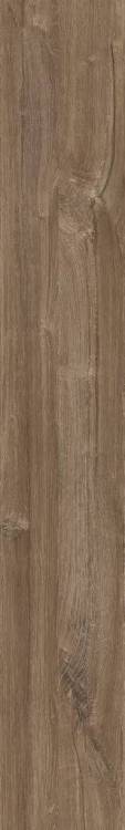 SPC Ламинат Creto ElegantWood 5/43 4V CR31805-12 Дуб натуральный Азиатский 1220x183