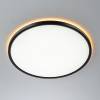 Светильник с пультом Citilux Norma CL749401 LED RGB фото 6