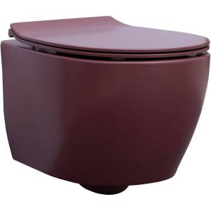 Унитаз подвесной Allen Brau Fantasy 4.11004.BD с крышкой-сиденьем