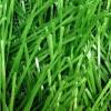 Искусственная трава ExtreGrass спортивная, высота ворса 40 мм фото 4