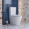 Унитаз-компакт BelBagno Flay-r BB2149CP-TOR/SC + BB2149T