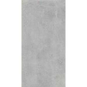 Керамогранит ColiseumGres Астро 610010002740 Сильвер 60x120