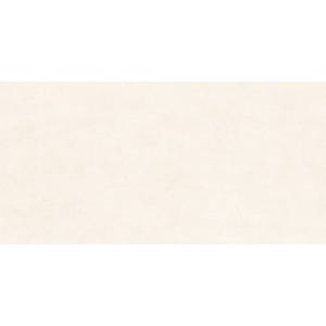 Керамогранит Alma Ceramica Berlin GFU60120BLN04R 60x120