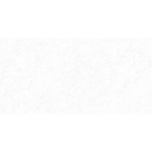 Керамическая плитка Alma Ceramica Miloni TWU2550MLN10 Рельефная 24.9x50