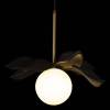 Подвесной светильник Loft IT Monro 10213/A Black фото 4