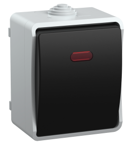 Выключатель 1-клавишный проходной IEK Fors EVS11-K03-10-54-DC серый