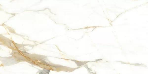 Керамогранит Alma Ceramica Calacatta Oro GFA114CLR04L Белый 57x114