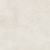 Керамогранит Italon Continuum 610010004106 Полар Рет 120x120 фото 3