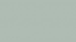 Керамическая плитка Lasselsberger Ceramics Мерц 1045-0264 Зеленый 25x45