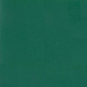 Линолеум Tarkett Omnisports Excel (Омниспортс Эксель) Forest Green (Форест Зеленый) (рулон: 2x20.5=41м2)