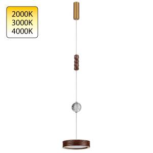 Подвесной светодиодный светильник Odeon Light Exclusive Riviera 5450/32LB