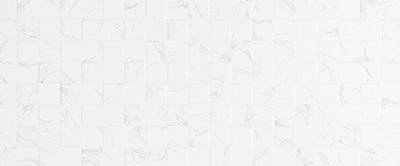 Керамическая плитка Creto Forza M0427Y29601 Calacatta White Mosaico 01 25x60