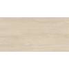 Керамогранит LCM Tivoli 60120TIV11M Romano Матовый Карвинг 60x120