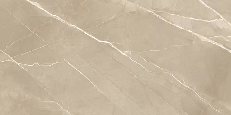 Керамогранит New Trend Essential 60120ESE21P Marron полированный 600x1200x7