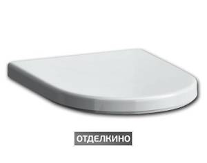 Крышка-сиденье Laufen Pro 8.9695.1.300.000.1 с микролифтом, петли хром