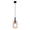 Подвесной светильник Modelux Modemodern MD.1445.1 фото 4