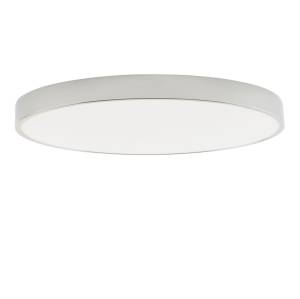 Потолочный светильник Zortes Tortty ZRS.02565.96