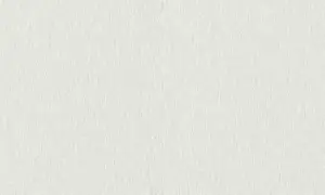 Обои Rasch 143911 Wallton