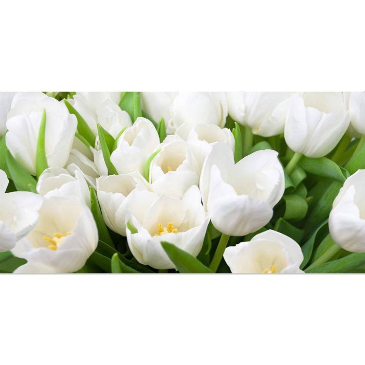 Декор Azori Элара 583962001 Триумф Верде 20.1x40.5