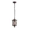 Уличный подвесной светильник Loft IT Ravenna 100016P