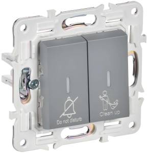 Выключатель 2-клавишный IEK Skandy SK-V20-2-10-K03 серый