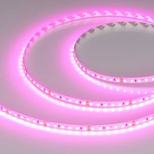 Лента светодиодная Arlight A120 43381