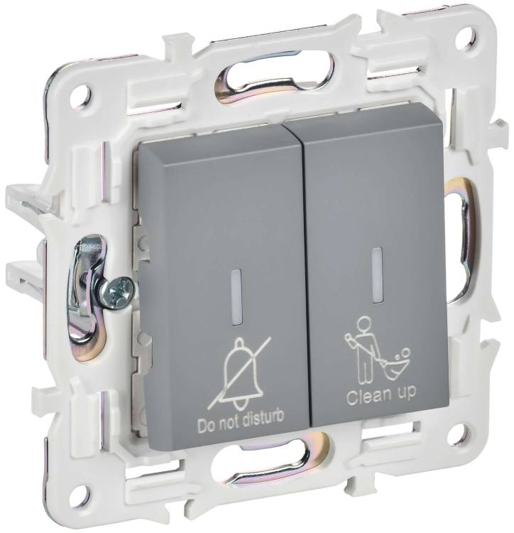 Выключатель 2-клавишный IEK Skandy SK-V20-2-10-K03 серый