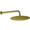 Верхний душ Allen Brau Priority 5.31A17-GB золотой