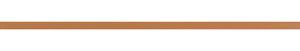 Бордюр RAKO Charme WLASW001 оранжевый 1.5x60