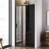 Душевая дверь в нишу AM.PM Gem Solo W90G-100-1-195BG 100 см фото 2
