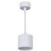 Подвесной светильник Reluce 53005-0.9-001LD GX53 WT фото 4