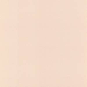 Обои виниловые Rasch Salsa 806830