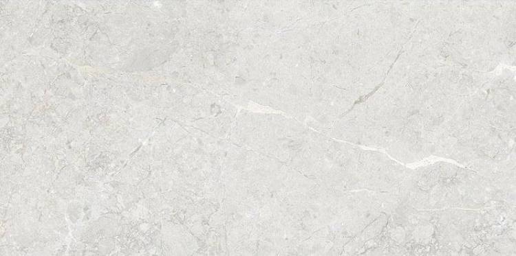 Керамогранит Art&Natura Una Pietra Silver Rustic Carving 60x120