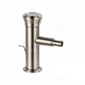 Смеситель для биде Remer Element ET20XV сталь