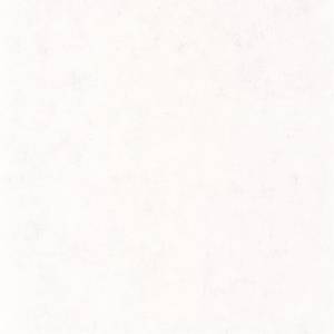 Обои Caselio Beton 101480000