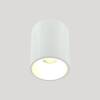 Накладной светильник Lightera Shamrock LE200CL-1W фото 3