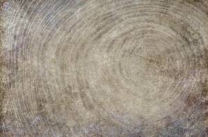 3D Фотообои Artegrafico «Винтажный спиль» MC-011 канвас