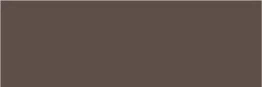 Керамогранит Staro Slab Polished С0004977 Brown 240X80