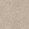 Керамогранит Kerama Marazzi Касабланка KM2020G0001N бежевый светлый матовый 20x20