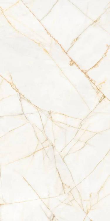 Керамогранит Flaviker Supreme Hedonism PF60017518 Golden Spider Nat R 60x120