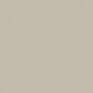 Керамогранит Italon Форум 610010004140 Слим Дезерт Рет 80x80